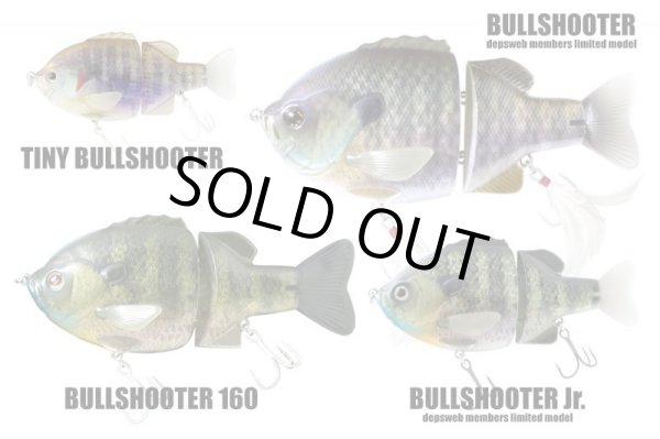 画像2: TINY BULLSHOOTER (タイニーブルシューター (2)