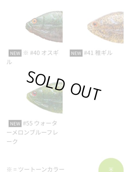 画像3: ギルフラットｊｒ. (3)