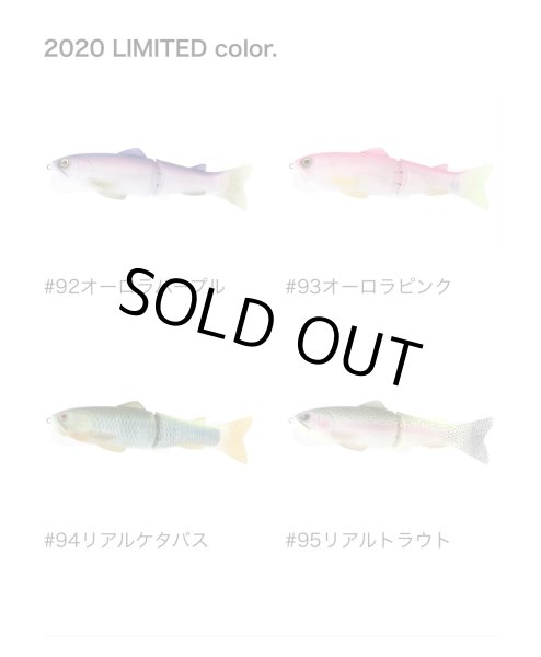 画像2: 2020 LTD NEW SLIDESWIMMER 250　ＳＳ （ｎｅｗスライドスイマー250 SS） (2)