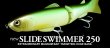 画像1: 2020 LTD NEW SLIDESWIMMER 250　ＳＳ （ｎｅｗスライドスイマー250 SS） (1)