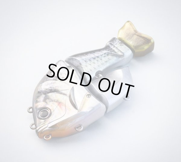 画像2: 　CASTELLANON（カステラーノン) (2)