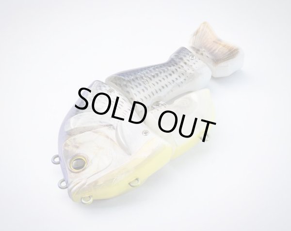 画像4: 　CASTELLANON（カステラーノン) (4)