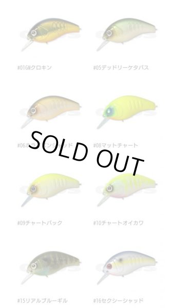 画像2: KORRIGAN−MAGNUM 450　（コリガンマグナム450） (2)