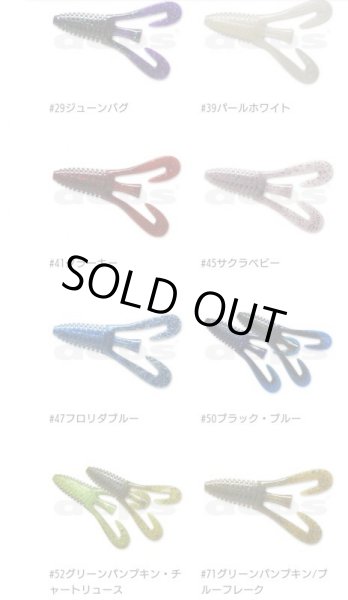 画像3: BARBUTE（バルビュータ） (3)