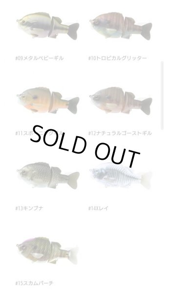 画像3: BULLSHOOTER　160 SS (3)