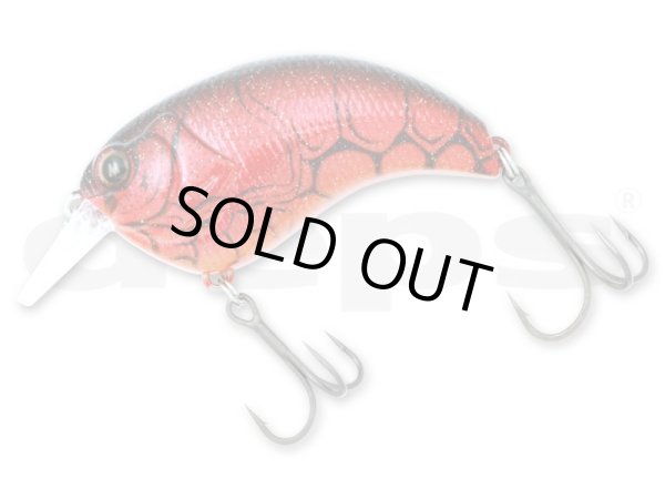 画像3: EVOKE (イヴォーク ) (3)