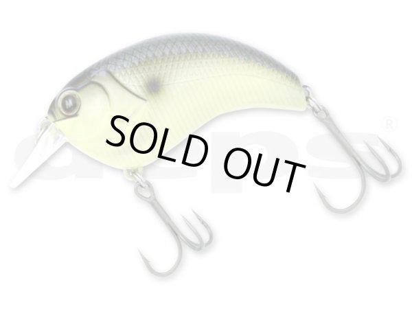 画像2: EVOKE (イヴォーク ) (2)