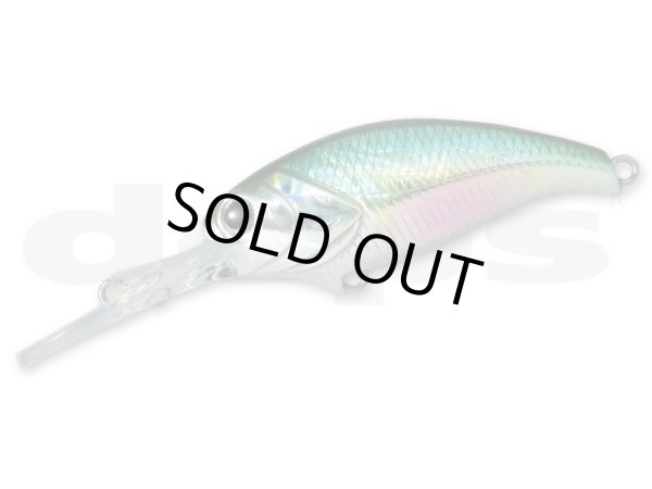 画像3: EVOKE SHAD (イヴォーク シャッド) (3)