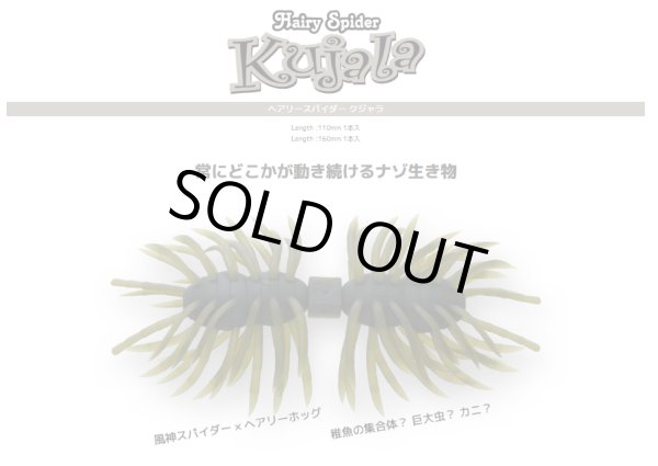 画像1:  Hairy Spider Kujala110　ヘアリースパイダー クジャラ110 (1)