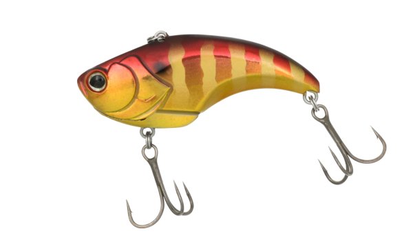 画像1: EVOKE VIB (1)