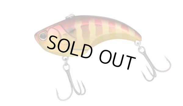 画像1: EVOKE VIB (1)