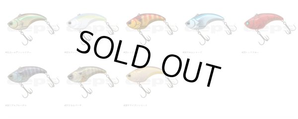 画像2: EVOKE VIB (2)