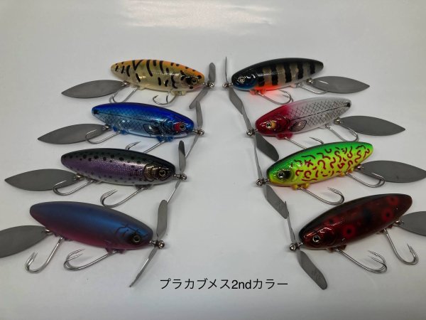 画像1: 〇予約　プラカブメス　4月中旬ストック予定 (1)