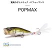 画像1: POPMAX　 (1)
