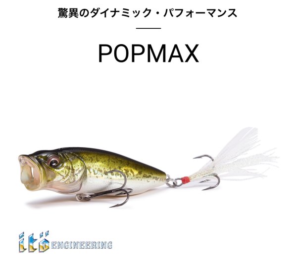 画像1: POPMAX　 (1)