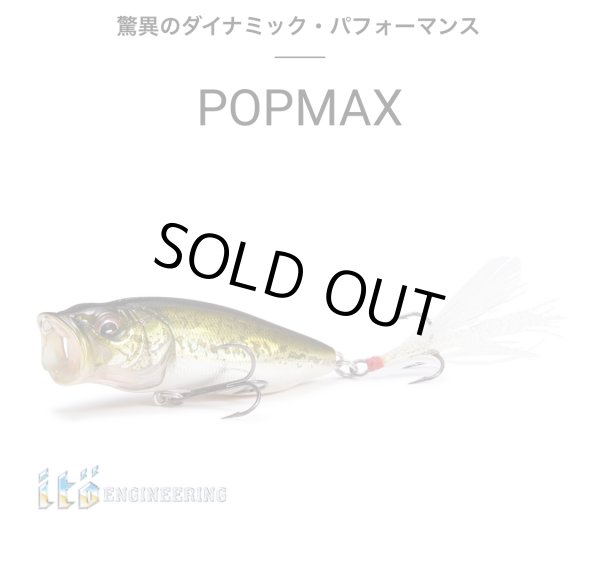 画像1: POPMAX　 (1)