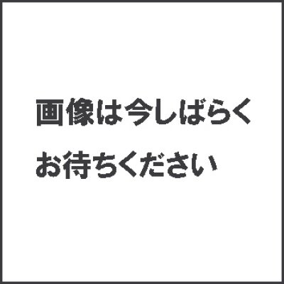 画像1: ジャバロン140スーパーリアル