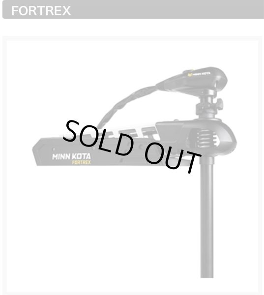 画像2: MINNKOTA(ミンコタ）FORTREX (2)