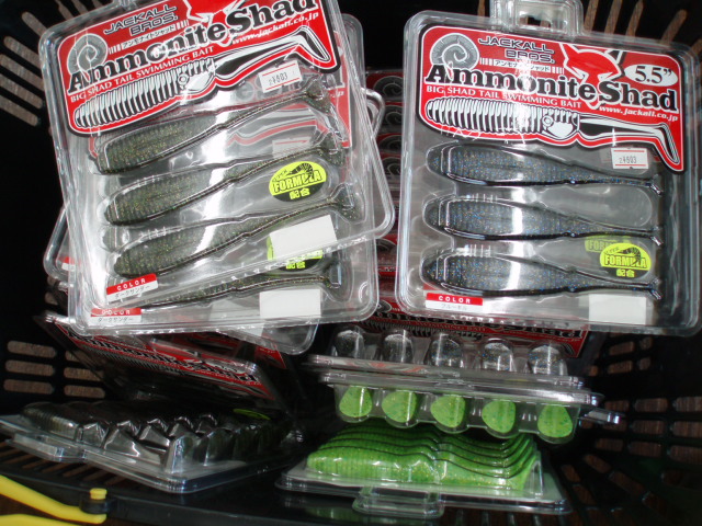 ジャッカルアンモナイトシャッド