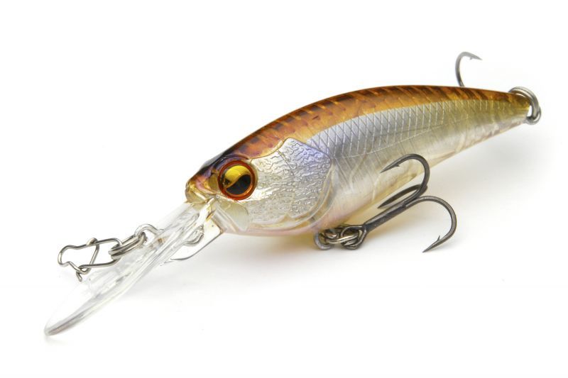 LEVEL SHAD レベルシャッド